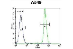 Flow Cytometry (FACS) image for anti-Hematological and Neurological Expressed 1 (HN1) antibody (ABIN2998247) (HN1 Antikörper)