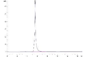 Size-exclusion chromatography-High Pressure Liquid Chromatography (SEC-HPLC) image for Epidermal Growth Factor Receptor (EGFR) (AA 25-645) protein (Fc Tag) (ABIN7274524)