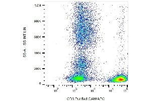 Surface staining of human buffy coat cells with anti-CD3 (TB3) purified / GAM-APC. (CD3 Antikörper)
