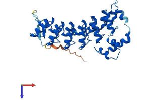 ASB9 Protein (AA 1-294) (His tag)