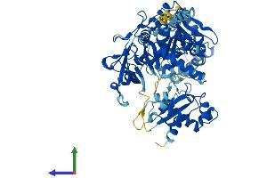 Protein Structure (PS) image for Acyl-CoA Synthetase Long-Chain Family Member 5 (ACSL5) (AA 1-683) protein (His tag) (ABIN7564607)