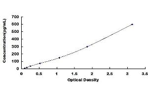 Typical standard curve (REG3B ELISA Kit)