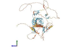 Protein Structure (PS) image for Zinc Finger Protein 278 (ZNF278) (AA 1-687) protein (His tag) (ABIN7550576)