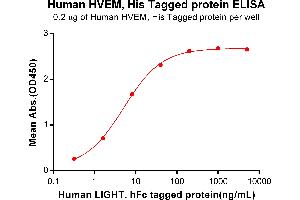 ELISA plate pre-coated by 2 μg/mL (100 μL/well) Human HVEM, His tagged protein (ABIN6964089, ABIN7042433 and ABIN7042434) can bind Human LIGHT, hFc tagged protein ABIN7092666, ABIN7272200 and ABIN7272201 in a linear range of 0.