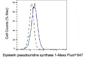 Validation of Dyskerin pseudouridine synthase 1 knockdown using flow cytometry.