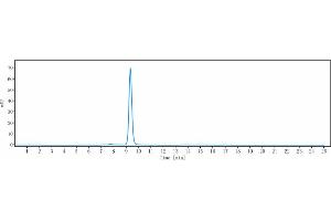 anti-IFNG (Emapalumab Biosimilar) antibody
