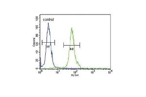 Flow Cytometry (FACS) image for anti-DNA Fragmentation Factor, 40kDa, beta Polypeptide (Caspase-Activated DNase) (DFFB) (AA 1-30), (N-Term) antibody (ABIN653798)