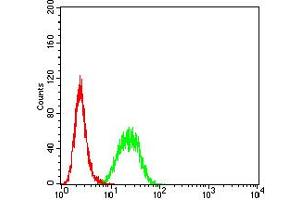 Flow cytometric analysis of Hela cells using BCL2L10 mouse mAb (green) and negative control (red). (BCL2L10 Antikörper  (AA 31-186))