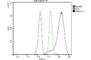 Flow Cytometry analysis of JK cells using anti-HMGCS1 antibody (ABIN7600928).