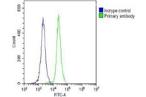 Overlay histogram showing HL-60 cells stained with C (green line). (PLA2G7 Antikörper  (AA 200-228))