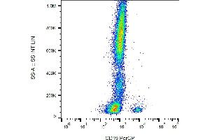 Flow cytometry analysis (surface staining) of human peripheral blood cells with anti-human CD19 (LT19) PerCP. (CD19 Antikörper  (PerCP))
