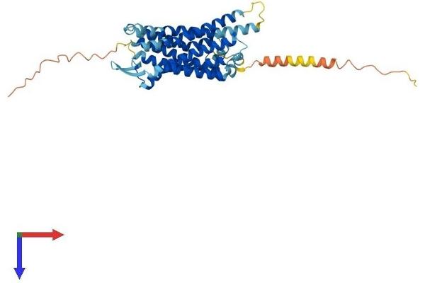 TACR2 Protein (AA 1-384) (His tag)