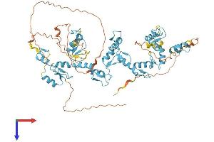 ZFP64 Protein (AA 1-645) (His tag)