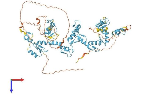 ZFP64 Protein (AA 1-645) (His tag)