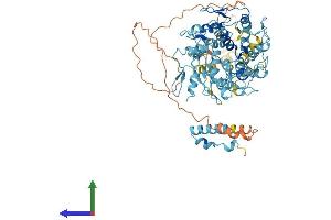 AlphaFold protein structure predicition of Human Recombinant ZNF441 Protein, UniprotID Q8N8Z8