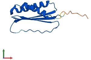 Protein Structure (PS) image for Dynein, Light Chain, Tctex-Type 3 (DYNLT3) (AA 1-116) protein (His tag) (ABIN7547299)