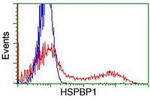 HEK293T cells transfected with either RC201814 overexpress plasmid (Red) or empty vector control plasmid (Blue) were immunostained by anti-HSPBP1 antibody (ABIN2454980), and then analyzed by flow cytometry. (HSPBP1 Antikörper)