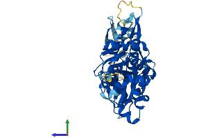 Protein Structure (PS) image for Actin-Related Protein T1 (ACTRT1) (AA 1-376) protein (His tag) (ABIN7561172)