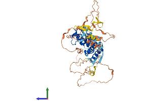 Protein Structure (PS) image for Nuclear Receptor Subfamily 0, Group B, Member 1 (NR0B1) (AA 1-470) protein (His tag) (ABIN7549871)