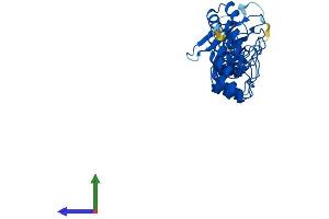 Protein Structure (PS) image for Fibronectin Type III and Ankyrin Repeat Domains 1 (FANK1) (AA 1-345) protein (His tag) (ABIN7547528)