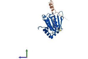 Protein Structure (PS) image for Eukaryotic Translation Initiation Factor 4E Family Member 1B (EIF4E1B) (AA 1-242) protein (His tag) (ABIN7548383)