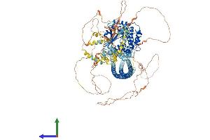 AlphaFold protein structure predicition of Mouse Recombinant Taok2 Protein, UniprotID Q6ZQ29