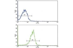 Flow Cytometry (FACS) image for anti-Secreted Protein, Acidic, Cysteine-Rich (Osteonectin) (SPARC) (AA 224-251) antibody (ABIN3032525)