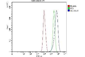 Flow Cytometry analysis of PC-3 cells using anti-SLC35E4 antibody (ABIN7599299). (SLC35E4 Antikörper  (AA 1-350))
