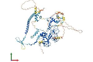 Protein Structure (PS) image for Enhancer of Zeste Homolog 1 (EZH1) (AA 1-747) protein (His tag) (ABIN7553852)