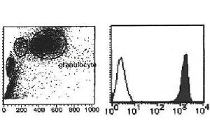 Flow Cytometry (FACS) image for anti-Vanin 2 (VNN2) antibody (PE) (ABIN1109469) (VNN2 Antikörper  (PE))