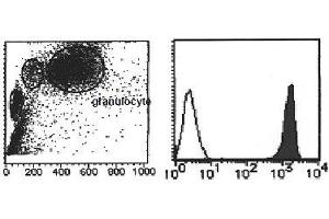 Flow Cytometry (FACS) image for anti-Vanin 2 (VNN2) antibody (PE) (ABIN1109469)