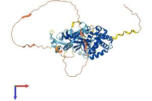 TMEM102 Protein (AA 1-509) (His tag)