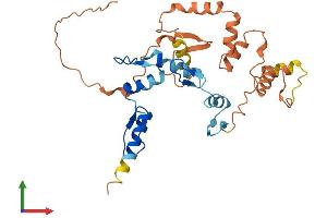 Protein Structure (PS) image for Zinc Finger Protein 42 (ZFP42) (AA 1-310) protein (His tag) (ABIN7545255)