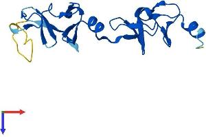 LMO2 Protein (AA 1-158) (His tag)