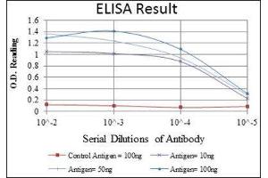 ELISA image for anti-Cyclin D3 (CCND3) antibody (ABIN1845423)