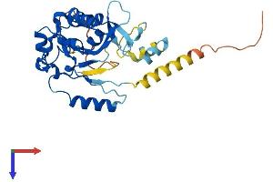AlphaFold protein structure predicition of Human Recombinant PLCXD2 Protein, UniprotID Q0VAA5