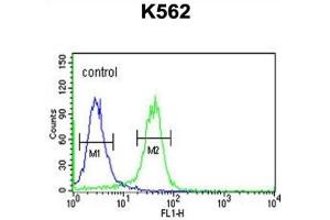 Flow Cytometry (FACS) image for anti-Lysine (K)-Specific Demethylase 4B (KDM4B) antibody (ABIN3004159)