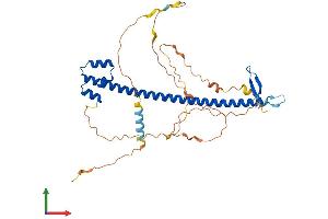 Protein Structure (PS) image for Nuclear Factor (Erythroid-Derived 2), 45kDa (NFE2) (AA 1-373) protein (His tag) (ABIN7556910)
