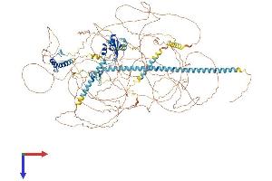 ACIN1 Protein (AA 1-1341) (His tag)