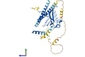 Protein Structure (PS) image for TAF7 RNA Polymerase II, TATA Box Binding Protein (TBP)-Associated Factor, 55kDa (TAF7) (AA 1-341) protein (His tag) (ABIN7556212)