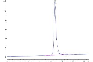 The purity of Human LTK is greater than 95 % as determined by SEC-HPLC. (LTK Protein (AA 17-424) (His tag))