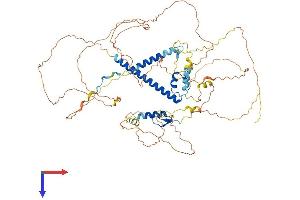 UIMC1 Protein (AA 1-719) (His tag)