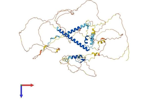 UIMC1 Protein (AA 1-719) (His tag)