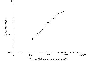Typical Standard Curve