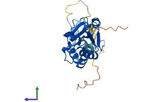 Protein Structure (PS) image for Phosducin (PDC) (AA 1-246) protein (His tag) (ABIN7550795)
