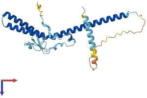 MED7 Protein (AA 1-233) (His tag)