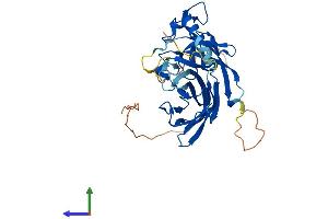Protein Structure (PS) image for Polymerase (DNA-Directed), delta Interacting Protein 2 (POLDIP2) (AA 1-368) protein (His tag) (ABIN7550606)