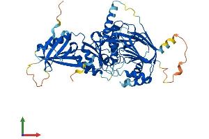 Protein Structure (PS) image for Ceramide Kinase (CERK) (AA 1-537) protein (His tag) (ABIN7553123)