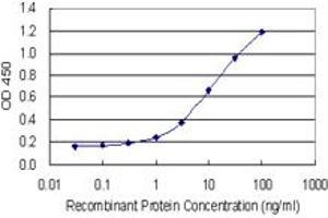 Detection limit for recombinant GST tagged SHMT2 is 0. (SHMT2 Antikörper  (AA 401-503))