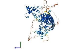 Protein Structure (PS) image for MUS81 Endonuclease Homolog (MUS81) (AA 1-551) protein (His tag) (ABIN7554644)
